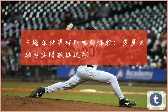 卡塔尔世界杯网络版体验:多屏互动与实时数据追踪