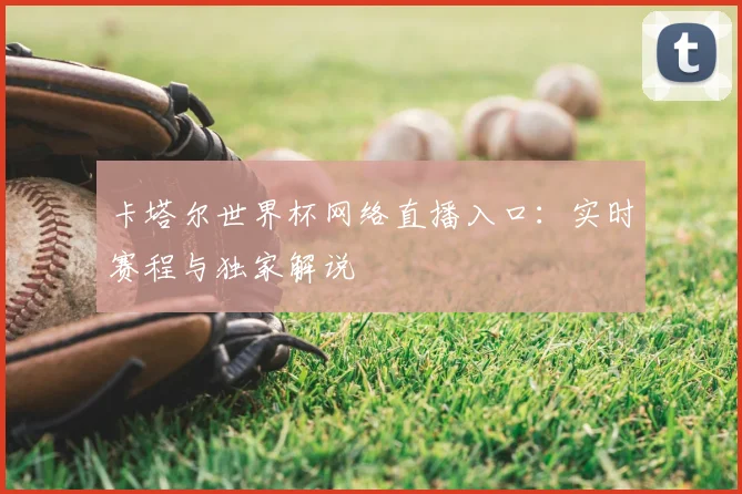 卡塔尔世界杯网络直播入口:实时赛程与独家解说
