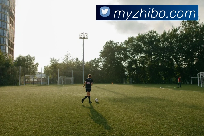 意昂体育官网登录发展历程